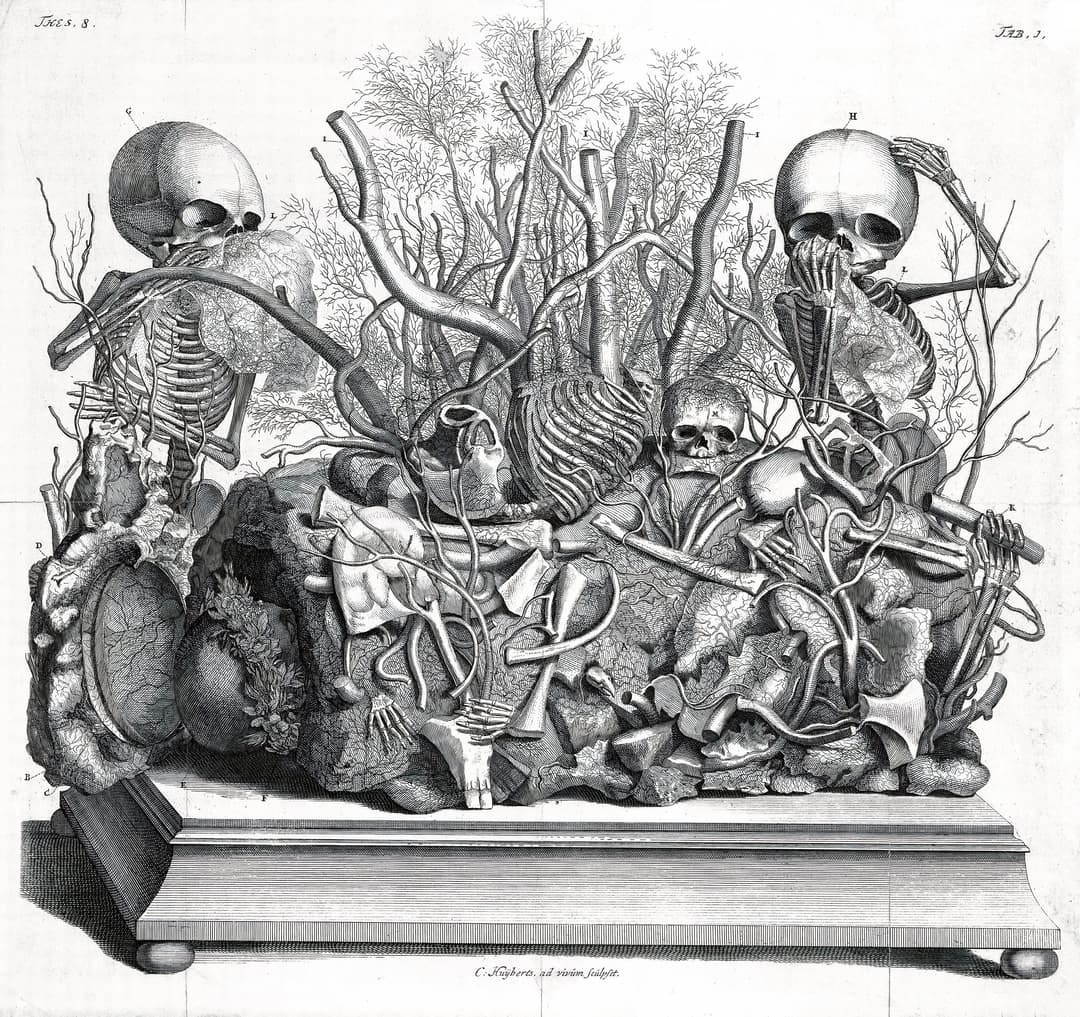 An Anatomical Tableau, after Frederik Ruysch