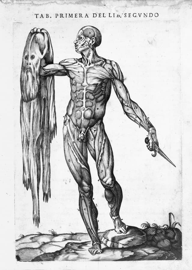 The Man Who Holds His Own Skin, Juan Valverde de Amusco