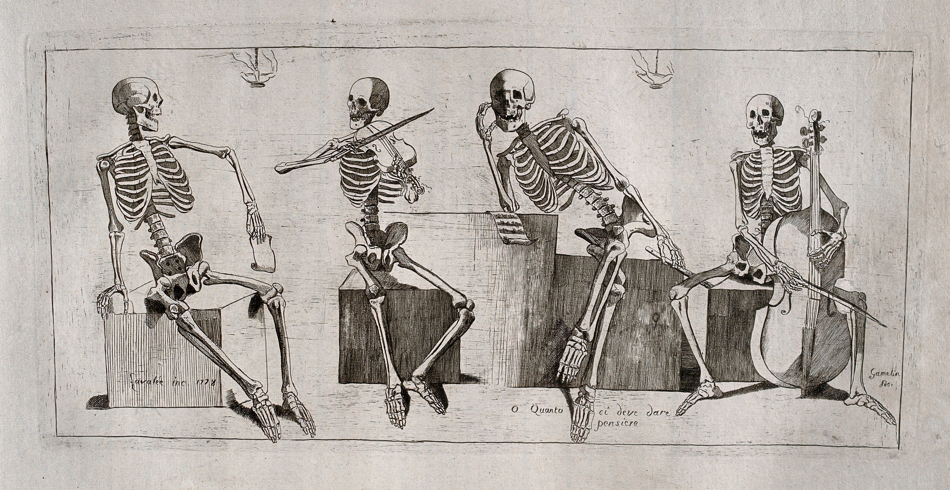 The Dance of Death — from Nouveau Recueil d’Ostéologie et de Myologie, Jacques Gamelin, 1779