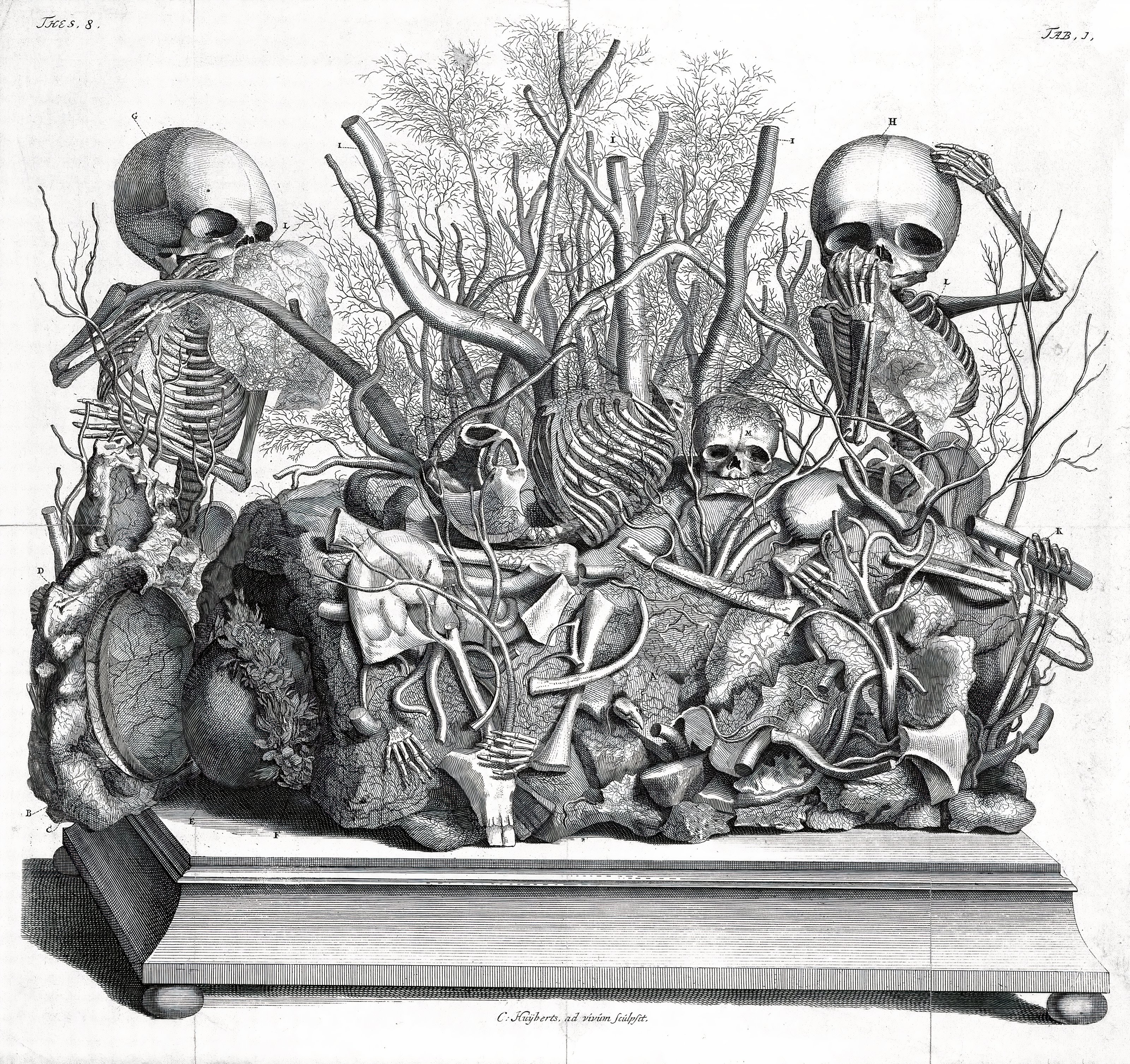 An Anatomical Tableau — from Thesaurus Anatomicus, after Frederik Ruysch, early 18th c.